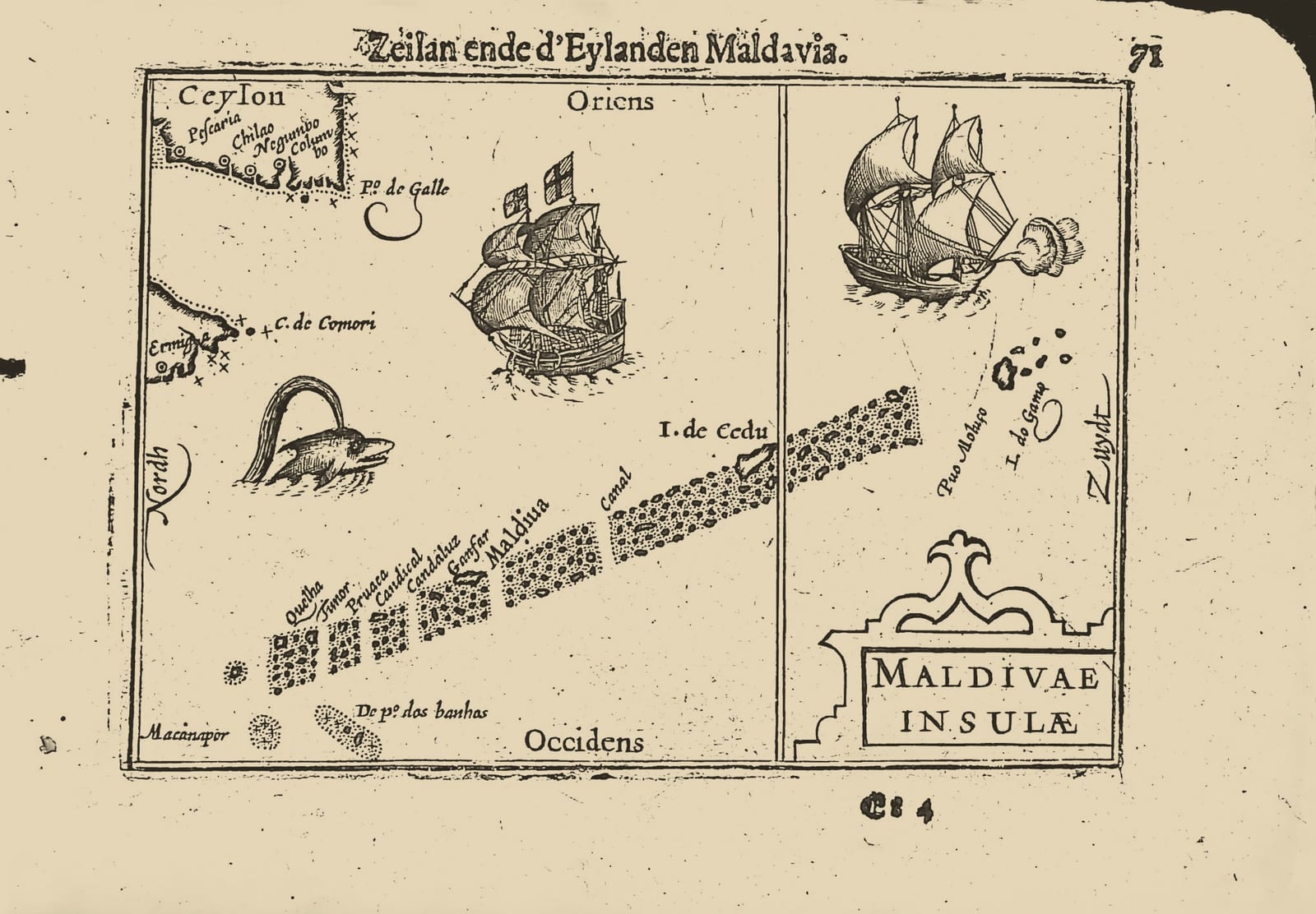 Maldivae Insulae (Zeilan ende d'Eylanden Maldavia, Ceylon and the Maldive Islands)